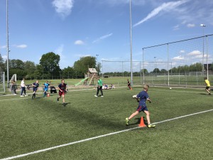 IMG_3476
