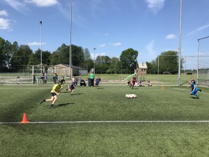 IMG_3477