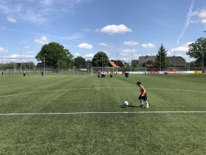 IMG_3487