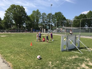 IMG_3493