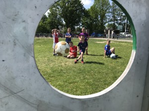 IMG_3495