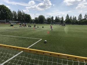 IMG_3510