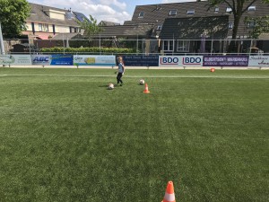 IMG_3513