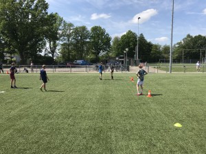 IMG_3519