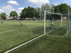 IMG_3527