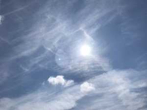 IMG_3534